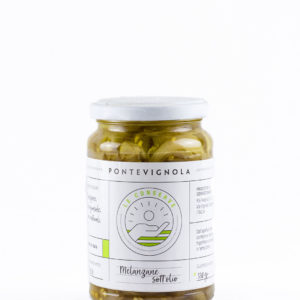melanzane-sott-olio